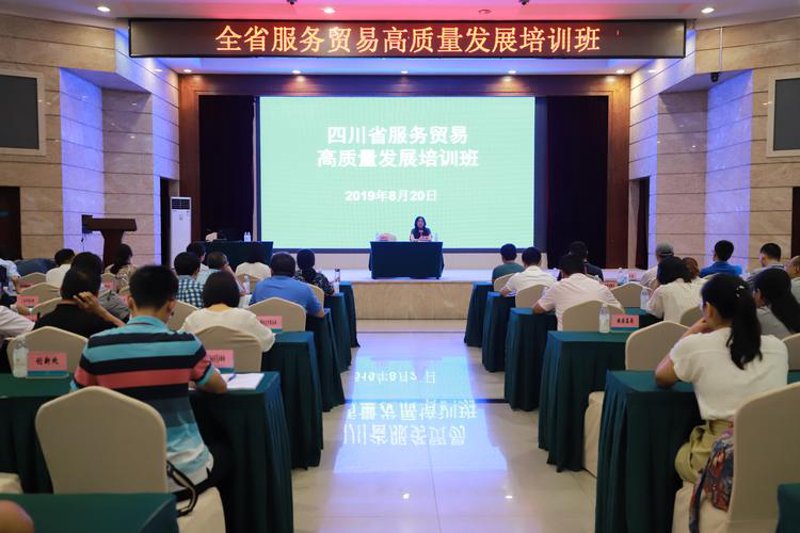 汇成星商贸部引领市场趋势分析